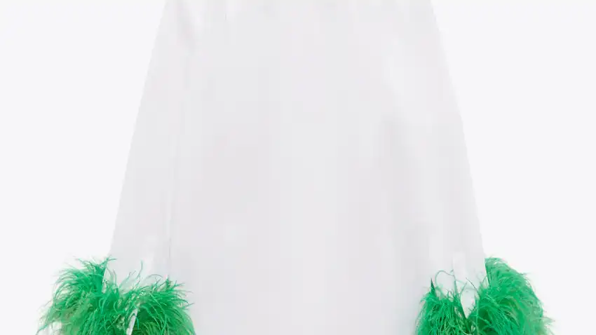 Camisa popelín plumas.