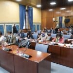 Diputados de la comisión de investigación sobre la Fundación Andaluza Fondo de Formación y Empleo (Faffe). ALFREDO DE ANCA/PARLAMENTO