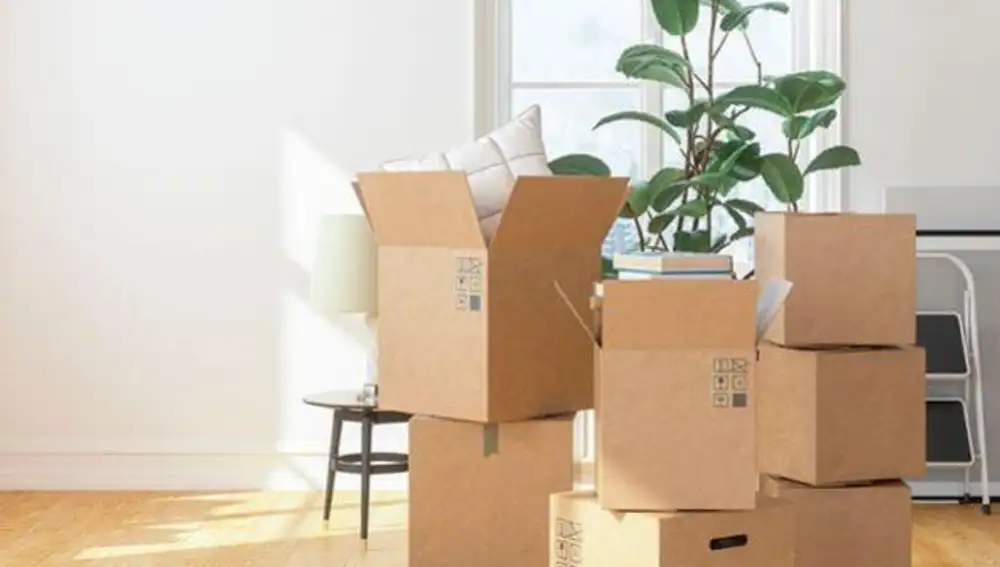 Cajas de cartón en una mudanza
