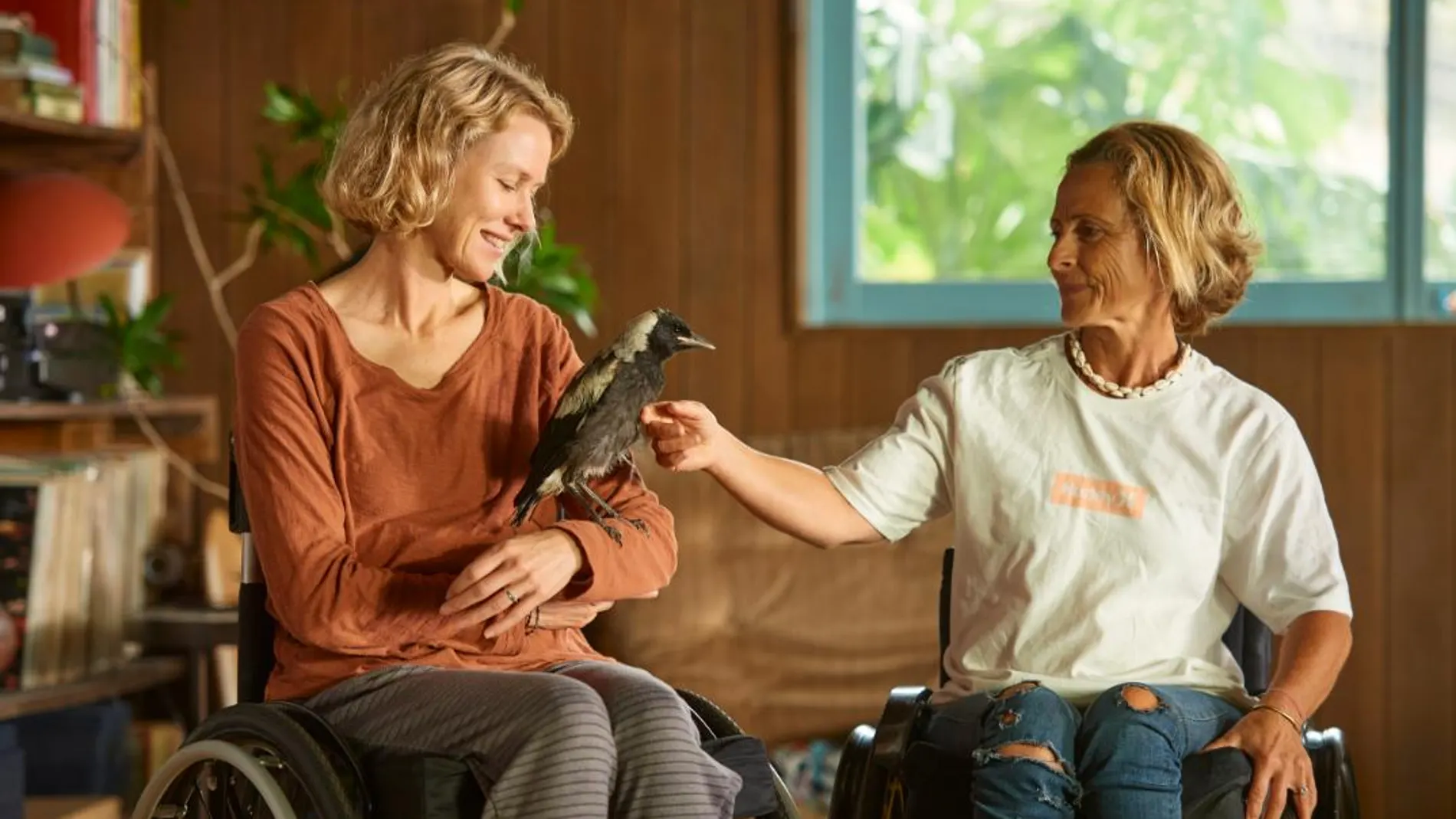 "La familia Bloom", protagonizada por Naomi Watts, se estrena este viernes 10 de diciembre