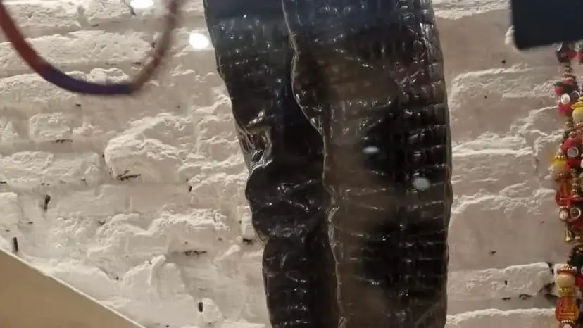 Botas Sara Carbonero.