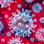 La disfunción endotelial estaría detrás de algunos síntomas que duran tras la infección por SARS-CoV-2
