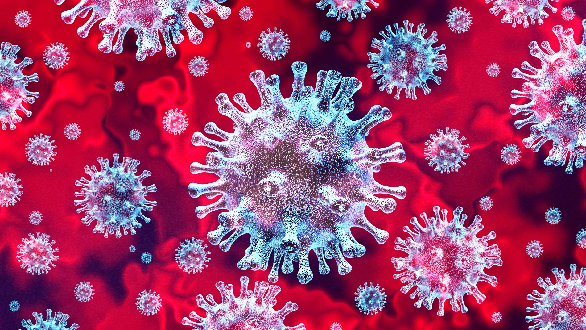 La disfunción endotelial estaría detrás de algunos síntomas que duran tras la infección por SARS-CoV-2
