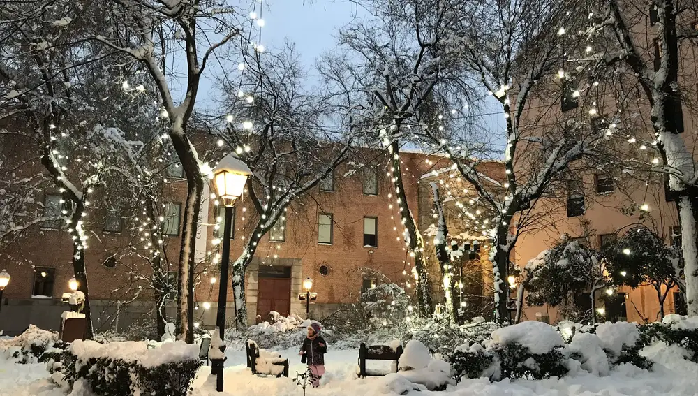 Imagen del cineasta Diego Sananés