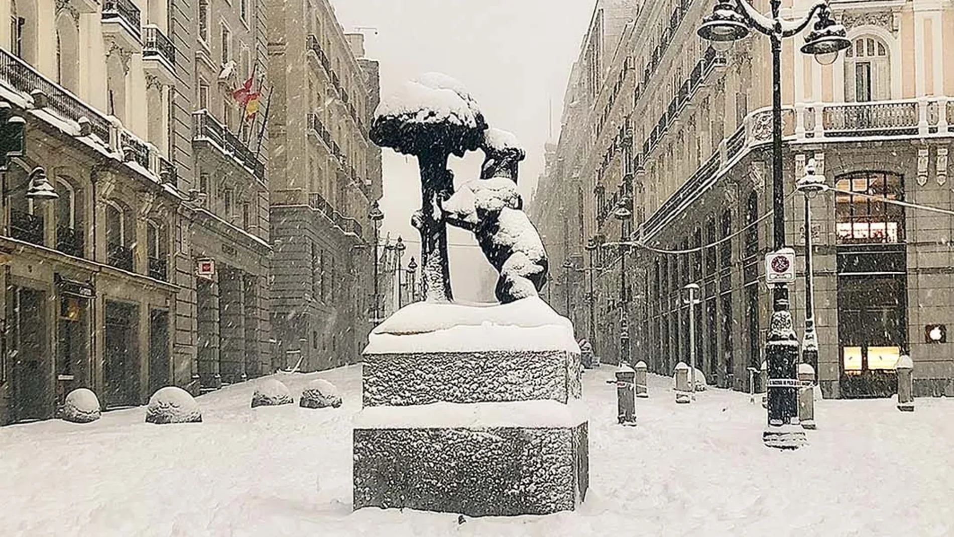 El Oso y el Madroño fotografiado por Javier Lagar