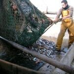 El sector pesquero andaluz rechaza el acuerdo alcanzado en la UE