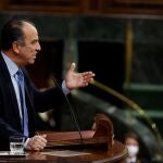 El diputado de Navarra Suma, Carlos García Adanero en una de sus intervenciones en el Congreso