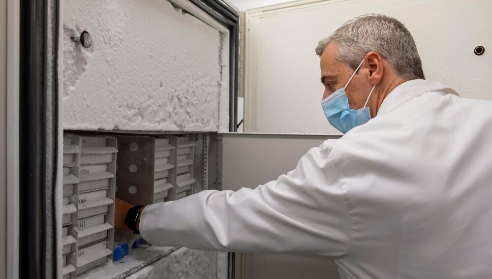 El banco de cerebros de Castilla y León está ubicado en el Incyl, en la universidad de Salamanca. Javier Herrero es el científico que lo dirige y se ocupa de su gestión