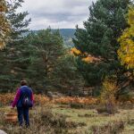 Una recolectora micológica en los Montes de Soria