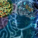 Tener un determinado tipo de microbiota puede indicar el futuro desarrollo de una patología