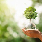 La biomédica cuenta con una estrategia medioambiental llamada "Green Journey"