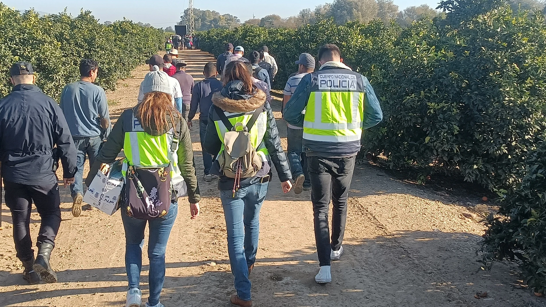 Fotografía facilitada por la Policía Nacional tras la detención de siete personas como presuntos miembros de una organización dedicada a la trata de seres humanos con fines de explotación laboral. EFE/ Policía Nacional