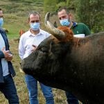 El ministro de Consumo, Alberto Garzón, visita una explotación ganadera en Asturias