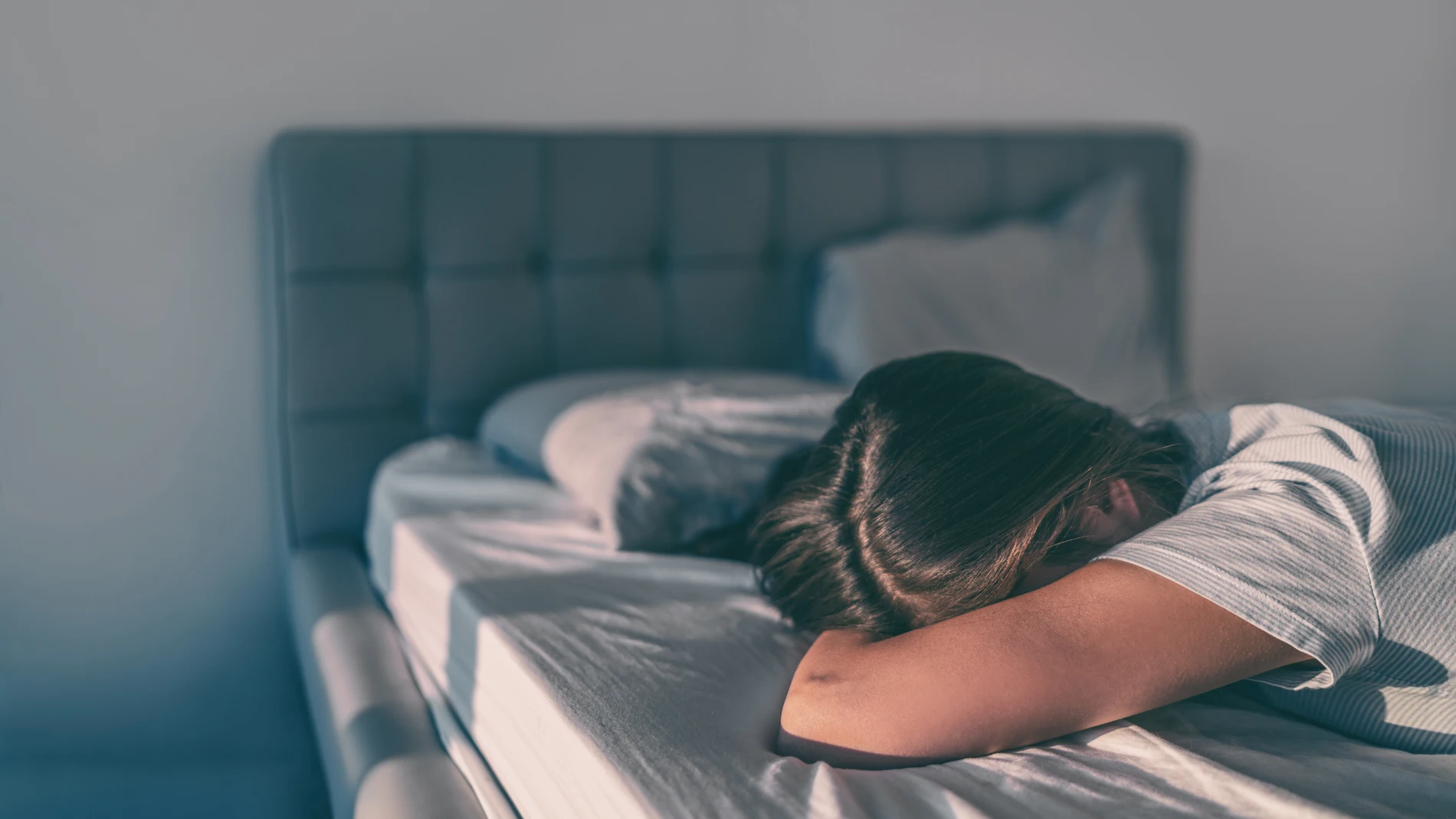 El análisis es uno de los primeros en medir múltiples variables ambientales en el dormitorio