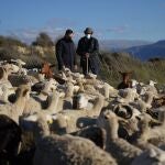 Juanma Moreno visitó una explotación ganadera. JUNTA DE ANDALUCÍA