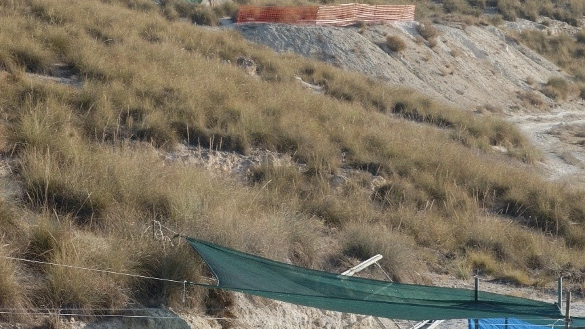 Imagen del yacimiento de Venta Micena facilitada por la Universidad de Málaga. EFE/ UMA