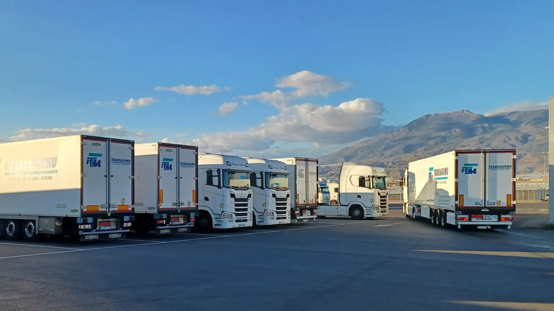 Imagen de camiones en el centro de transportes de Almería