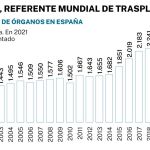 Trasplantes de órganos con donantes covid positivos