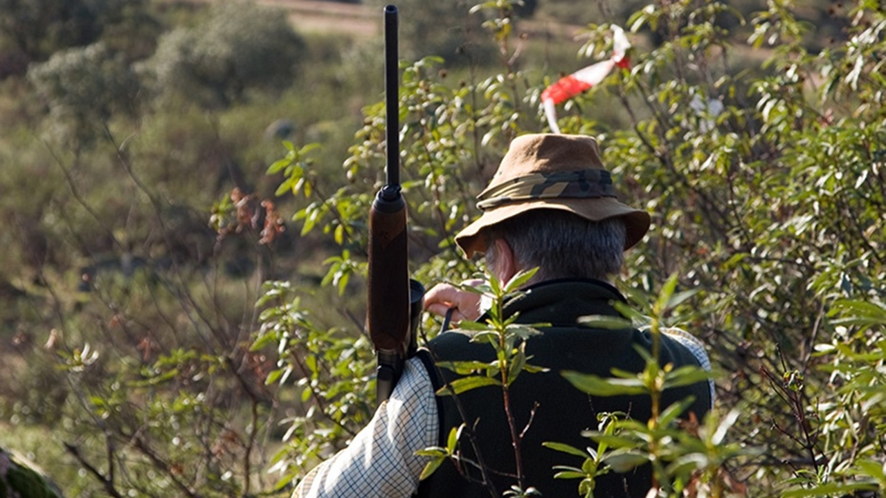 Arranca la temporada de monterías y ganchos en Castilla y León: Novedades, capturas, requisitos...