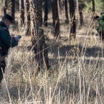 Un guardia civil en mitad de las batidas vecinales que ha organizadas por el cuerpo para localizar a la desaparecida de Traspinedo, a 29 de enero de 2022 en Traspinedo, Valladolid, Castilla y León (España). El paradero de Esther López de la Rosa, de 35 años vecina de Traspinedo, se ignora desde el pasado día 12 de enero. En los últimos días la Guardia Civil, con más de un centenar de efectivos e integrantes de distintas unidades especiales, ayudados por drones, un helicóptero y perros, han rastreado a fondo, pero sin éxito, el término de Traspinedo. 29 ENERO 2022;TRASPINEDO;GUARDIA CIVIL;DESAPARICIÓN Photogenic/Claudia Alba / Europa Press 29/01/2022
