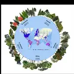 Mapa mostrando los datos del estudio, indicando el número de especies y ejemplares identificados en cada continente. Los puntos azules pertenecen al censo original, los morados son una ampliación del TREECHANGE, que eran datos previos al estudio. La zona verde representa la distribución total de los árboles.