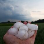 El granizo puede causar grandes daños a los campos de cultivo