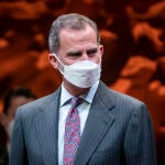 El Rey Felipe VI