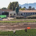 Vecinos contra la expansión de granjas intensivas de porcino cerca de casas. EFE/ Marcial Guillén (Foto Archivo)