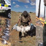 Agentes Forestales de la Comunidad de Madrid