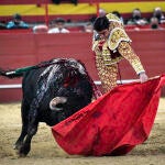 Perera, en Valdemorillo