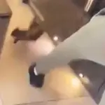 Kurt Zouma, pateando a su gato