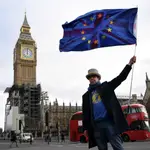 Un partidario de seguir en la UE junto al parlamento británico