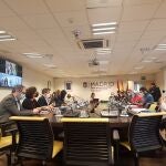 Comisión Permanente Ordinaria del Pleno de Vicealcaldía de Madrid EUROPA PRESS 11/02/2022