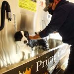 Autolavado de mascotas Prime Colada de Ponferrada