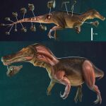 Recostrucción del Iberospinus natarioi que muestra la digitalización en 3D de algunos de los huesos recuperados, junto con la musculatura