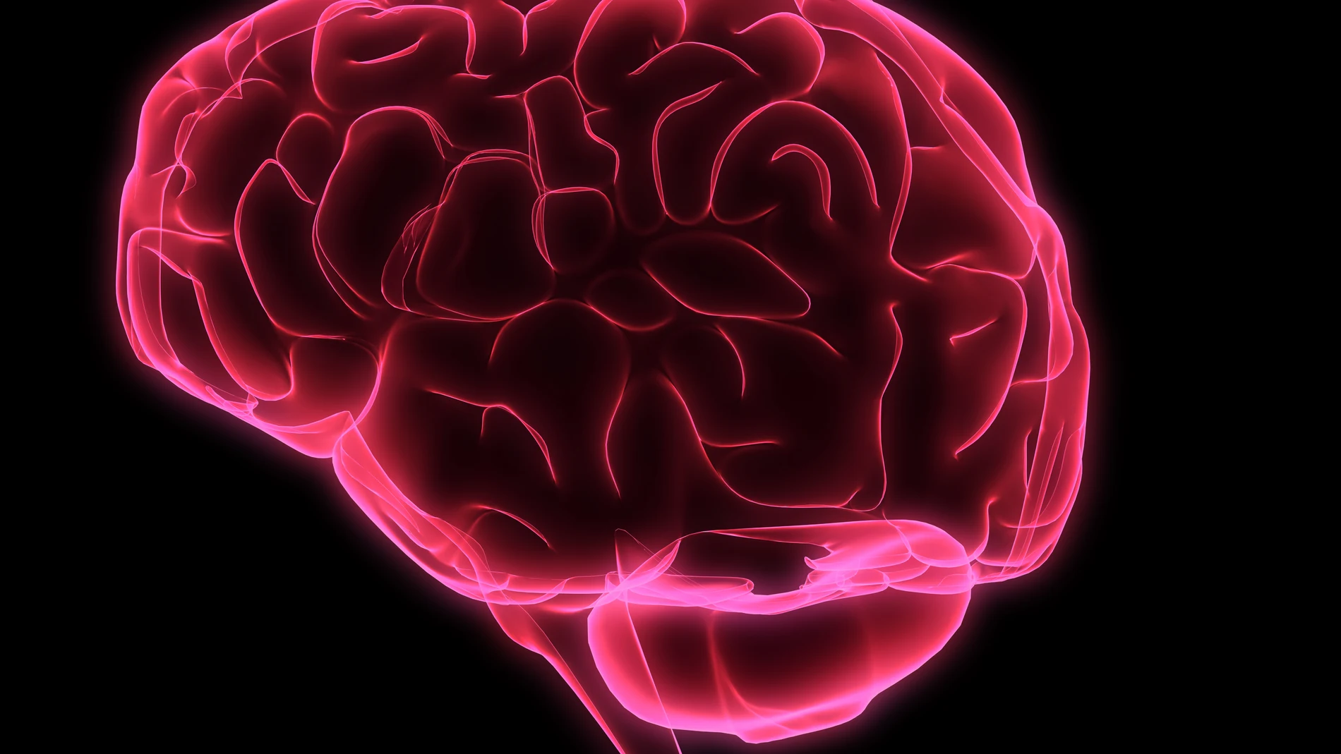 red brain Graphic, Abstract, Head, Model, old, wonder, human, education, illustration, organ, medical, isolated, Science, anatomy, scientific, think, understanding, isolate, brain, intelligence, neurology, mind, physiology, vein, cerebral, wisdom, intellect, psychology, intellectual, brainy, 3D, sense, genius, matter, cerebellum, cerebra, cortex, mentality, subconscious