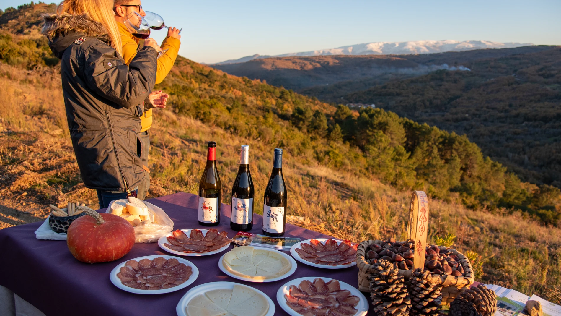 Ruta del Vino Sierra de Francia, Salamanca