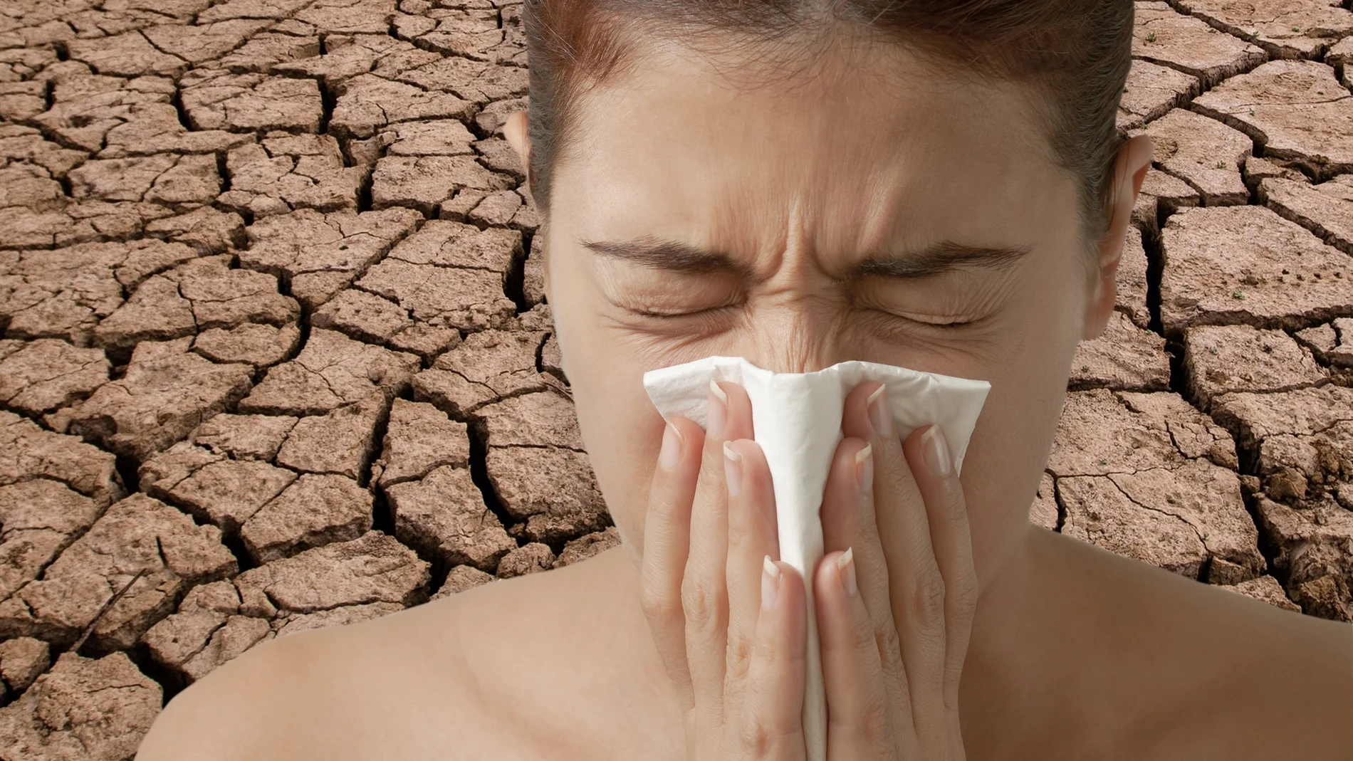 Se estima que ocho millones de españoles sufren alergia al polen