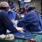 El cirujano Bartley P. Griffith y su equipo, que desarrolló con éxito el trasplante temporal del corazón de un cerdo geneticamente modificado a un paciente de 57 años en muerte cerebral