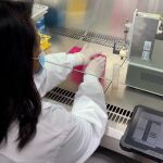 Rubaiya Hussain analiza muestras de saliva con el dispositivo en el Laboratorio de Biología del ICFO.