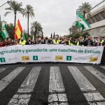 Cientos de agricultores y ganaderos de toda Andalucía en una manifestación reciente celebrada en Sevilla