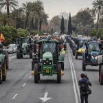 Cientos de agricultores y ganaderos de toda Andalucía, convocados por las organizaciones agrarias, marchan por la avenida de La Palmera de Sevilla. EFE\ José Manuel Vidal