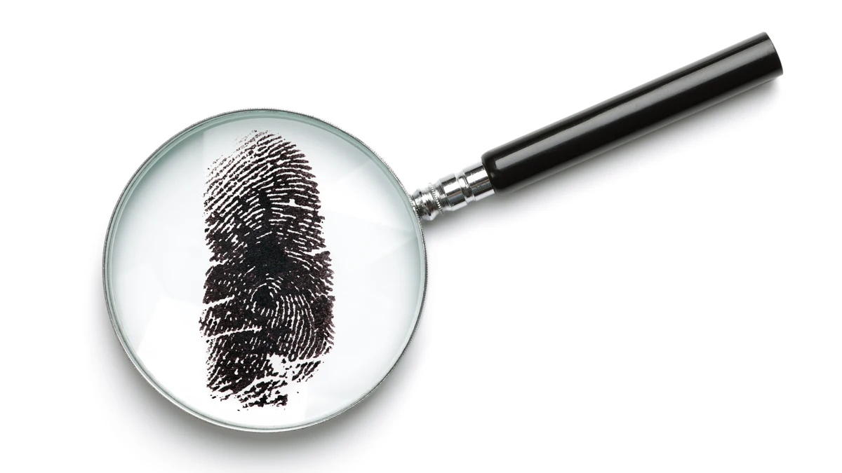 Unos 4.000 profesionales ejercen en España como detectives privados