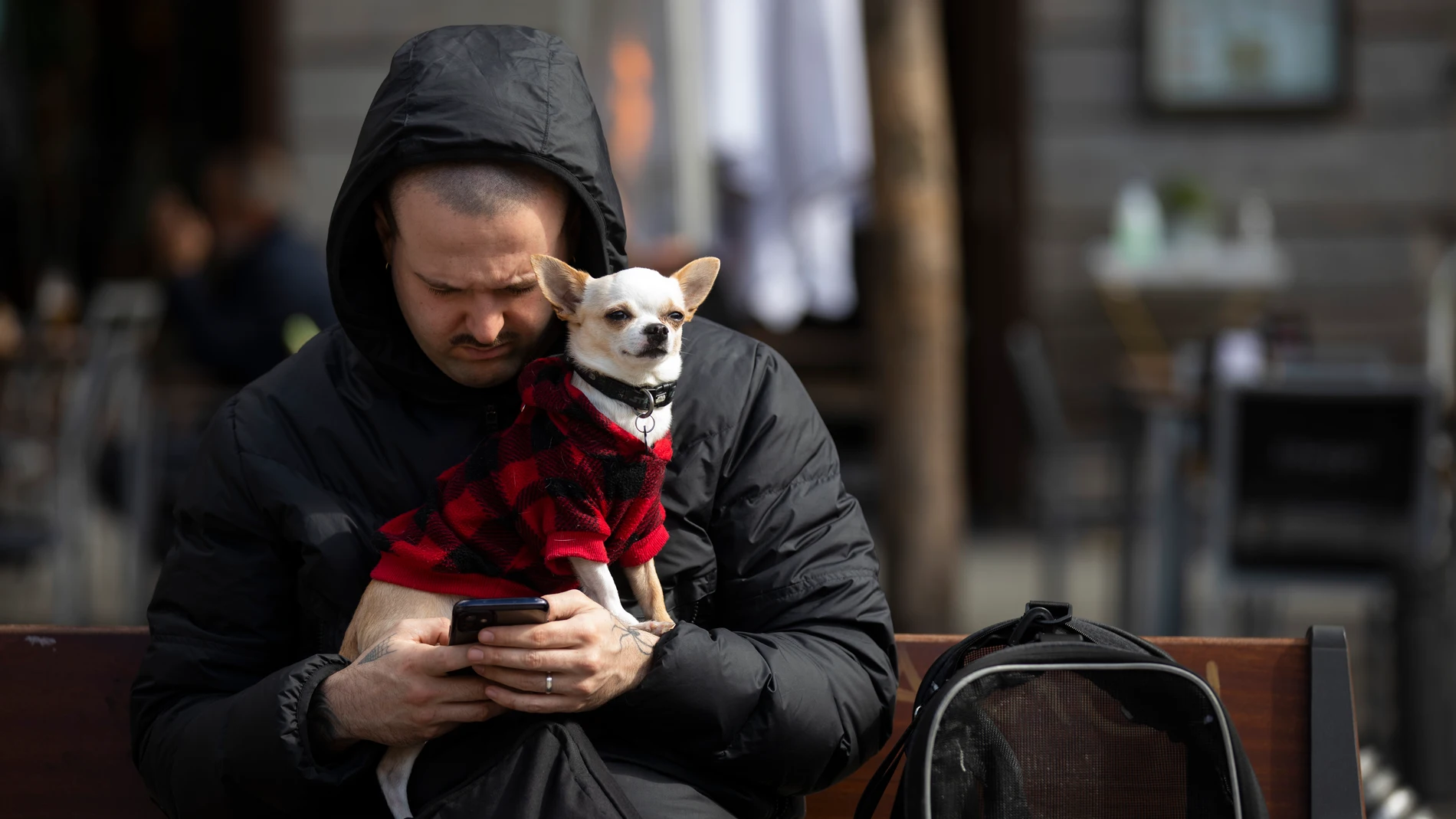 Imagen de un perro con un abrigo en los brazos de su dueño mientras este mira su teléfono movil.