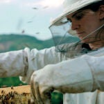 Película Hive (colmena)