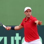 Roberto Bautista, a punto de dar una derecha en la Copa Davis