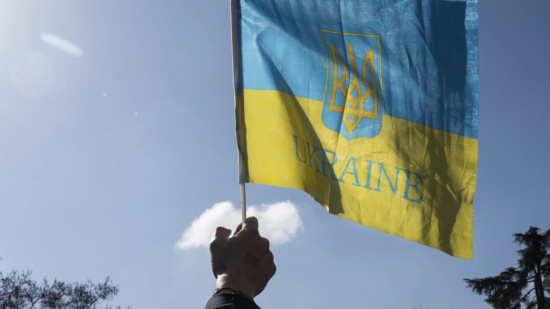 Bandera de Ucrania