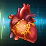 Los aumentos de los niveles de colesterol son un factor muy importante de riesgo para sufrir una enfermedad cardiovascular.