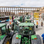 Las organizaciones Asaja y la Alianza UPA-COAG en Segovia convocan una concentración y tractorada para exigir respeto, reconocimiento y precios justos 'Por el futuro de la Agricultura y la Ganadería'