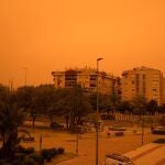 Calima en Murcia, a 14 de marzo de 2022. CEDIDA POR CARLOS J. EGIO 14/03/2022